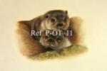 Otter & Cub