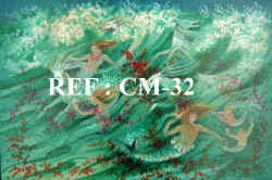 CM - 32    Sea Sprites copy.jpg (92027 bytes)
