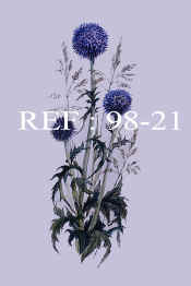 98-21  Globe Thistle.jpg (45864 bytes)