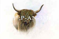 P-AN 33B Cow.jpg (45025 bytes)