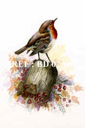 P-BD 02A  Robin Stump copy.jpg (94065 bytes)