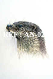 P-OT 02A  Otter Head  copy.jpg (68335 bytes)