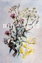 21-12  Marys Flowers.jpg (81871 bytes)