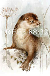 88-32  Otter head.jpg (75209 bytes)